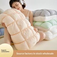Nouvel Oreiller de Sommeil Domestique en Nylon Léger, Design Minimaliste, Couleur Unie, Motif Grille de Pain, Forme Crêpe Glacée, Une Paire