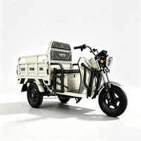 Tricycle électrique à carrosserie ouverte 1000W, 3 roues, capacité de 600 kg, robuste, pour transport de marchandises, idéal pour les achats en gros à prix abordable