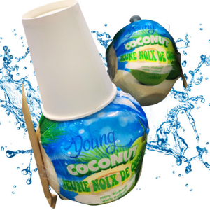 Jeune noix de coco verte fraîche de haute qualité du Vietnam International Agriculture Prix de gros Prix compétitifs - Product Image 4