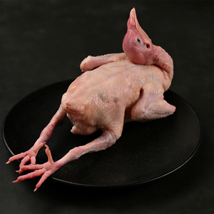 Pigeon entier enrichi en sélénium naturel, viande de volaille très nutritive pour la maison et la restauration - Product Image 3
