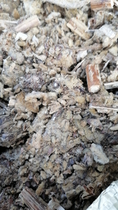 Precio barato natural Flores secas de <span class=keywords><strong>Verbascum</strong></span> Thapsus Flor de <span class=keywords><strong>Verbascum</strong></span> Thapsus rota para la venta - Product Image 4