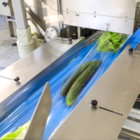 Machine d'emballage automatique HAOYUAN HY-680 pour fruits frais, carottes, légumes, salades, avec ensacheuse de type oreiller et trois servomoteurs