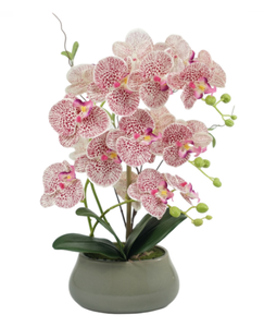 <span class=keywords><strong>N</strong></span>-58 Orchidee Artificiali di Lusso Bianche e Rosa con Fiori in Lattice Realistici e Vaso in Ceramica, Pianta di Orchidea Artificiale in Vaso in Vendita - Product Image 1