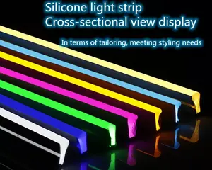 10x10mm Silicon Led Neon Rope Light Smart 12v 24v Neon Flex Waterproof Topview Sideview Color Pvc Ip68 Led Flexible Neon Light