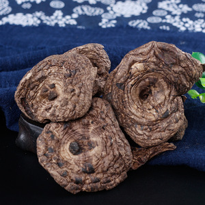 500g Wilder Natürlicher Schuppiger Igel-Pilz Essbarer Getrockneter Zahn-Pilz Schuppiger Igel-Pilz zum Verkauf - Product Image 4