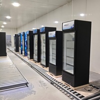 Réfrigérateur commercial vertical 300L avec porte vitrée, ventilateur et éclairage LED pour supermarché et magasin de détail