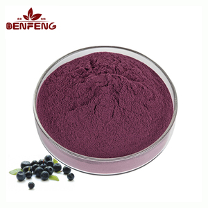 Suministro al por Mayor de Polvo de Jugo de Bayas de Açaí Brasileño Puro y Natural, Polvo de Fruta de Bayas de Açaí - Product Image 1