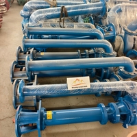 Pompe centrifuge submersible pour boues, robuste, conception verticale, pour l'exploitation minière, en alliage de chrome élevé, résistance à l'usure longue durée