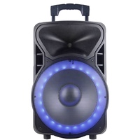 Altavoz portátil de 15 pulgadas y 200W para Karaoke, sistema de sonido para DJ, con LED, micrófono, batería ECHO