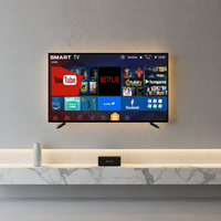 Téléviseur intelligent WiFi LED LCD populaire de 43 pouces pour hôtels africains