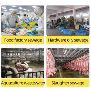 Gıda atıksu atık su arıtma istasyonu için kanalizasyon arıtma çözünmüş hava flotasyon DAF sistemi - Product Image 3