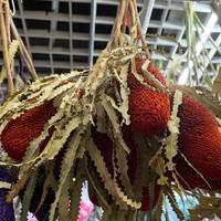 Groothandel gedroogde bloemen Protea natuurlijke koningsbloem geconserveerde Banksia voor bloemstukken en huisdecoratie