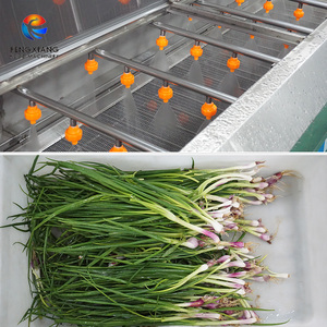 Macchina Commerciale per Pelatura e Lavaggio di Scalogno, Cipollotti, Germogli d'Aglio, Erba Cipollina e Cipolle Verdi - Product Image 3