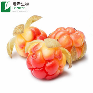 ผงคลาวด์เบอร์รี่ผลิตโดยมืออาชีพ สารสกัดสมุนไพรจากธรรมชาติ สารสกัดจากผลไม้ สารสกัดจากสาหร่าย บรรจุในถังพลาสติก - Product Image 2