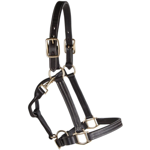 Cabestro de Cuero Profesional para Caballos, Color Personalizado, Gran Cantidad, Precio Bajo, Cabestro para Caballos en Venta - Product Image 1