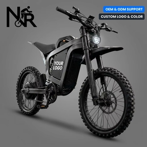 Vente en gros de motos tout-terrain sportives 72V haute puissance R19 pour E-Moto, personnalisation du logo OEM pour les distributeurs B2B - Product Image 1