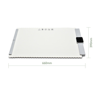 Plateau chauffant électrique portable 300W 220V-240V Chaleur réglable 50Hz Élément chauffant à bobine pour la maison/restaurant Buffet