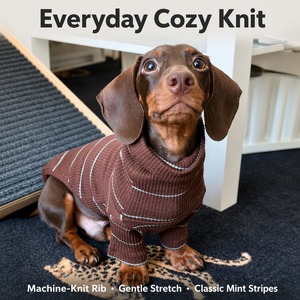 Chemise thermique d'hiver pour <span class=keywords><strong>Teckel</strong></span>, sous-vêtement épais et chaud avec couverture du ventre pour petits chiens, vêtements pour animaux de compagnie en tricot tendance et très prisés - Product Image 4