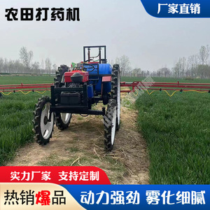 30 kg - Product Image 5