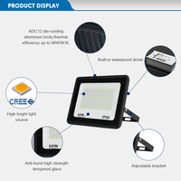 Suministro OEM/ODM de Reflector Proyector LED para Exteriores IP66 10W 20W 30W 50W 100W 150W 200W 300W