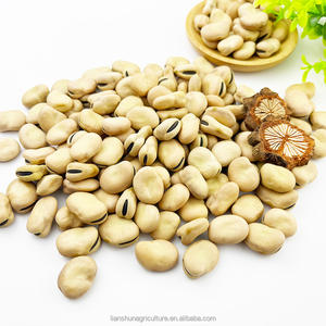Fèves séchées de haute qualité Plantation naturelle Goût original Fèves - Product Image 3