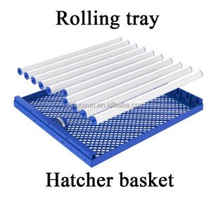 TUOYUN Máy Ấp Trứng Chất Lượng Cao Bán Chạy Máy Ấp Trứng 200 Trứng 110V 220V - Product Image 2