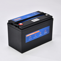 Batería de Iones de Litio Prismática LiFePO4 de 12V 300Ah, Mini Paquete de Baterías de 300 Amperios para Uso Solar, Modelo LICITTI Li-1200, 24 Meses de Garantía