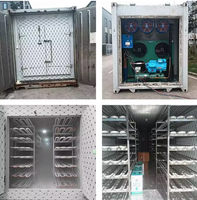 Meilleure chambre froide de conteneur mobile de 20 pieds 40 pieds à énergie solaire pour le stockage de glace de viande de poisson légumes-équipement de congélation
