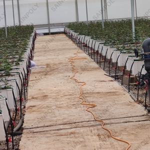 مصنع مخصص فيلم الدفيئة إطار معدني فيلم الدفيئة لزراعة الطماطم الدفيئة - Product Image 6