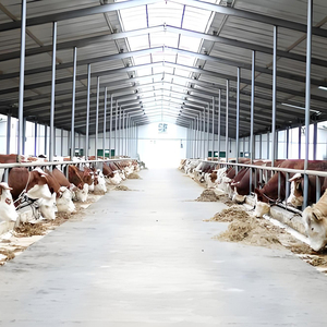 Enclos pour moutons, abris pour bétail, poulaillers en acier léger, portables, ignifuges et respectueux de l'environnement - Product Image 1
