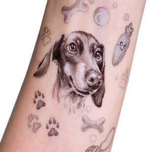 Ingrosso Personalizzato Cane Animale Impermeabile Simbolo Farfalla Festa dei Regali Cartone Animale Temporaneo Adesivi del Tatuaggio per i Bambini - Product Image 1
