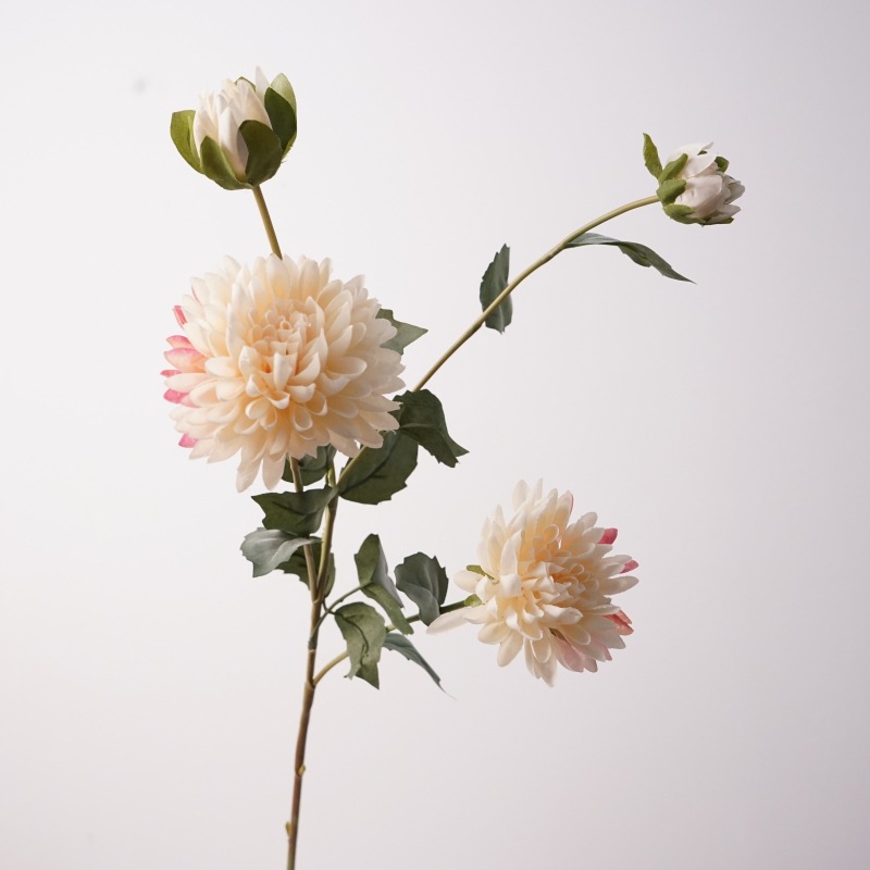 4 head cornflower-champagne