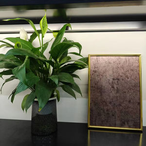 Patrón personalizable Placa de acero inoxidable Resistente a los sísmicos Cabina de ascensor de acero inoxidable - Product Image 1