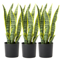 Tanaman Ular Palsu Tahan UV, Sukulen Sansevieria Tiruan dengan Daun Realistis