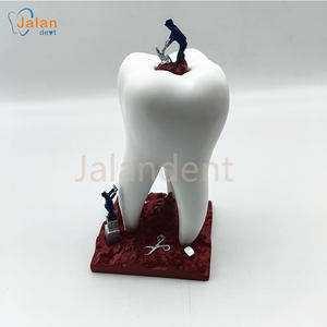 Alla moda sculture dentali regali da scrivania dentaria decorazione dentaria in resina scultura decorazione clinica odontoiatrica - Product Image 4