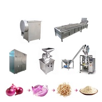 Ligne de production de poudre d'oignon à faible coût 100-1500 kg/h – Machines pour la fabrication de poudre d'oignon avec sécheur à chauffage par bois/charbon/biomasse