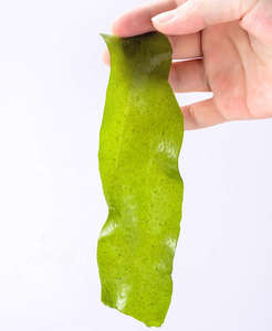 Soupe Miso <span class=keywords><strong>Japonaise</strong></span> Qualité Free Cut & Wash Sans Sable Algues Séchées Naturelles Wakame Feuilles Coupées S/M/L Taille 10KG Vente en Gros Échantillon Gratuit - Product Image 4