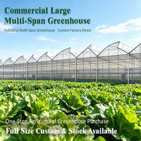Serre Intelligente Multi-Span Agricole Commerciale à Grande Structure en Acier à Dents de Scie Facile à Installer