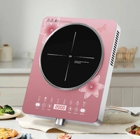 Fabrication de cuisinière électrique personnalisée SKD CKD brûleur infrarouge chauffage cuisine cuisinière infrarouge