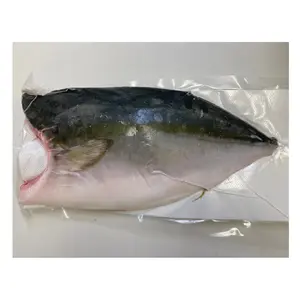 GEFRORENER HAMACHI (GELBTAIL) FILLET Japanischer Fisch