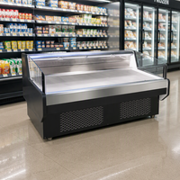 Vitrine Réfrigérée Commerciale à Double Température pour Salades de Viande Fraîche et Fruits, à Refroidissement par Air, Modèle Vertical Mécanique