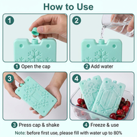 Nourriture médicale instantanée de poche de glace de gel de paquet froid de petite taille