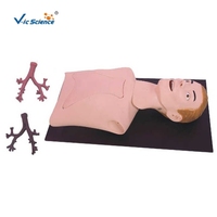 Modèle anatomique d'entraînement à l'endoscopie bronchique, mannequin pour école de médecine, matériau PVC, V-IC SCIENCE