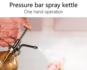 Vaporisateur d'eau en verre Plant Mister, avec pompe dorée, petit arrosoir - Product Image 3