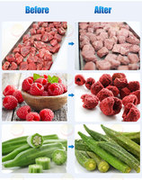 100kg lyophilisateur fruits et légumes lyophilisateur sous vide pour fruits du dragon lyophilisés