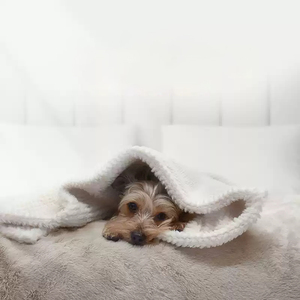 Mantas cálidas para mascotas para jaula y Manta personalizada para perros y gatos al por mayor con envío rápido mantas acogedoras - Product Image 3