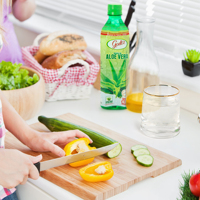 Saveurs tropicales Boisson à l'aloe vera Jus à pulpe Mangue Ananas Noix de coco Jus normal