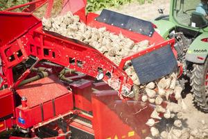 حصادة بنجر السكر الهيدروليكية الأوتوماتيكية، حصادة بنجر ثقيلة عالية الكفاءة، آلة حفر البنجر - Product Image 3