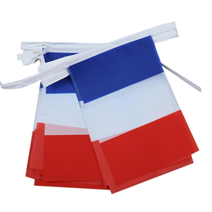 Guirnalda de Banderines de Poliéster de Francia de 3 Metros con 10 Banderines Pequeños de 21x14cm para Decoración de Fiestas y Festivales - Product Image 1