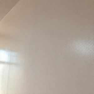 Apprêt <span class=keywords><strong>mural</strong></span> anti-moisissure et anti-alcali transparent, couche de base d'étanchéité pour usage intérieur/extérieur sur ciment, <span class=keywords><strong>enduit</strong></span>, brique, revêtement imperméable - Product Image 5